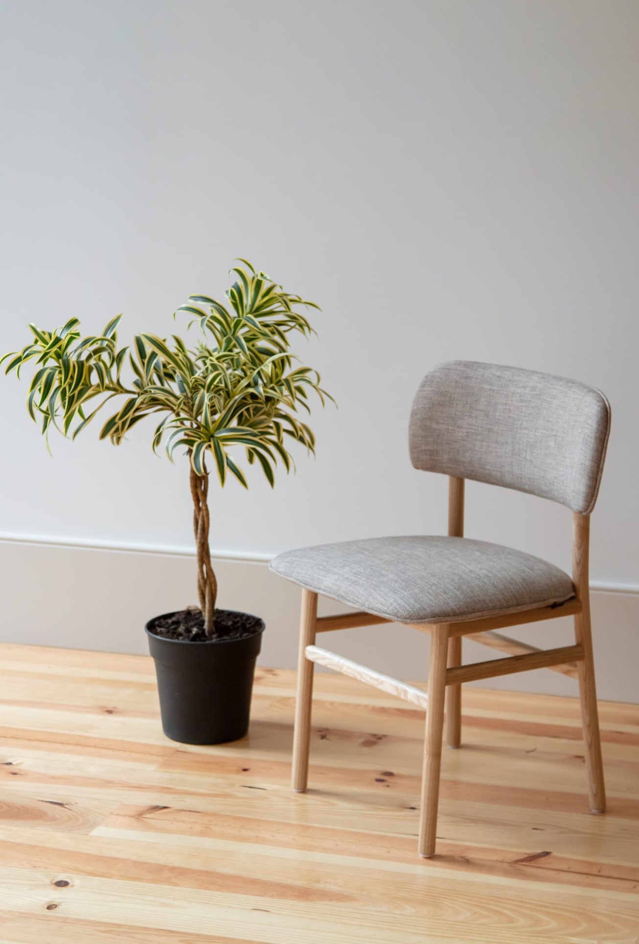 noa dining chair